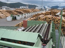 Technologies for the sawmill plants